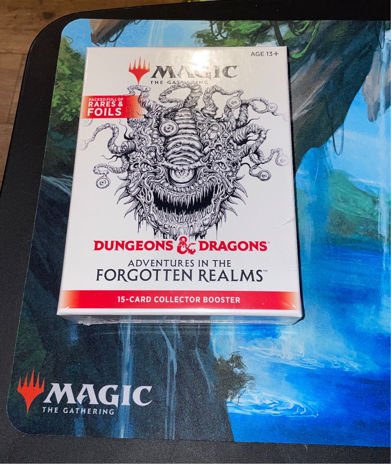 Magic:Forgotten Realms Dungeons & Dragon