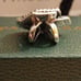 Pandora authentic brand new sterling silver oversized rose in bloom charm