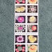 3 Booklets of 20 USPS First-Class Cactus Flowers Forever Stamps (TOTAL of 60)