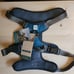Two large Embark Adventure Dog Harnesses