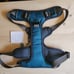Two large Embark Adventure Dog Harnesses