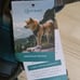 Two large Embark Adventure Dog Harnesses