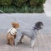 LED + Flash Light HAND FREE ring shape Dog leash