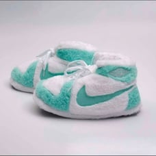 Nike dunk Nike air Jordan slippers brand new never used one size fits all UNISEX