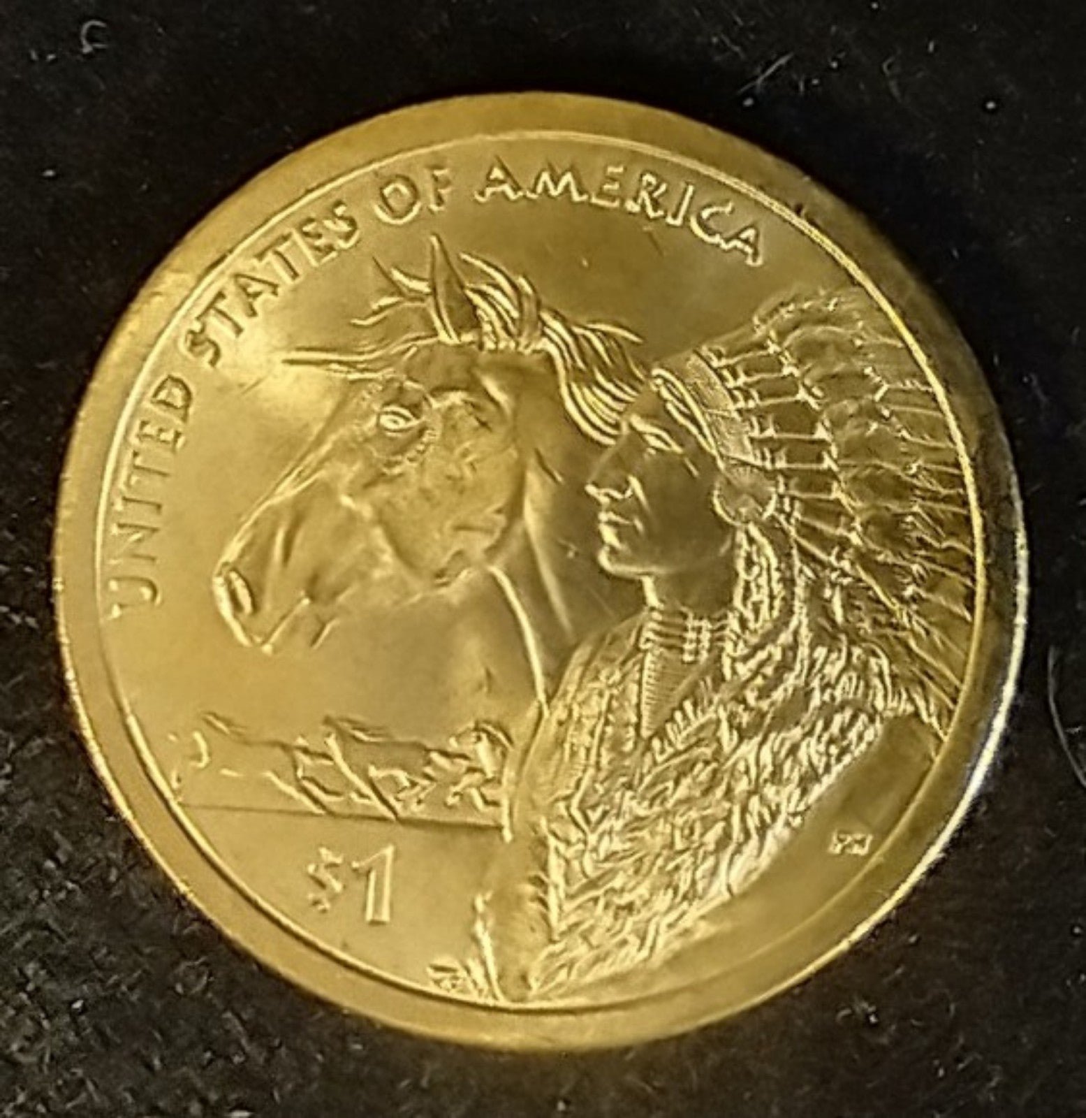 Gold Dollar Native American 2012