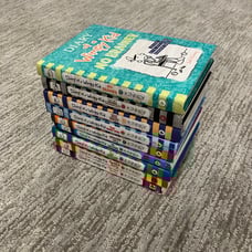 Diary of a Wimpy Kid books 11-18 + 5