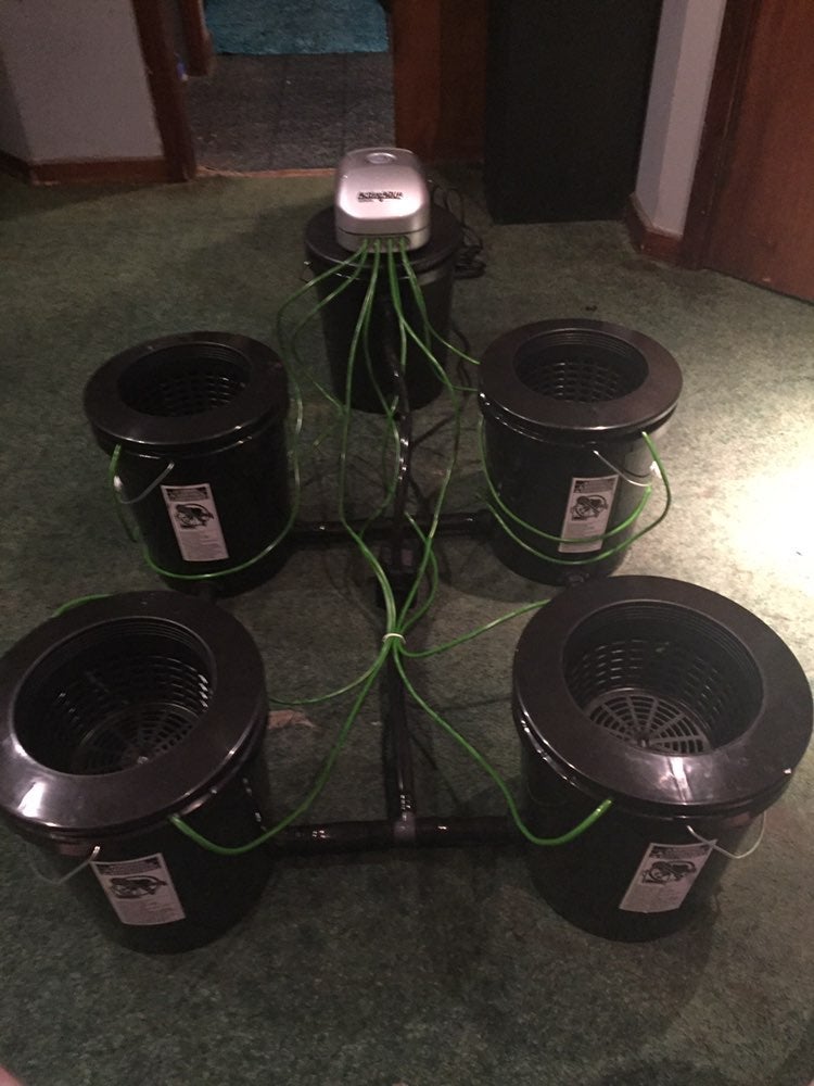 RDWC hydroponic system- 25gallons, 4-plant w/ control reservior, Double Airstone