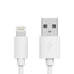 JW 10ft Lightning Cable Connector - Made for iPhone/iPad