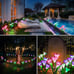 Outdoor Solar Lights, 4 Pack Solar Garden Lights with Bigger Lily Flowers