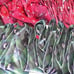 50 Holiday Christmas necktie bundle IZOD Hallmark