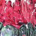 50 Holiday Christmas necktie bundle IZOD Hallmark