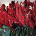 50 Holiday Christmas necktie bundle IZOD Hallmark