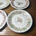 Set of 4 Royal Doulton Brambly Hedge 4 Seasons Mini Teacup with Saucer