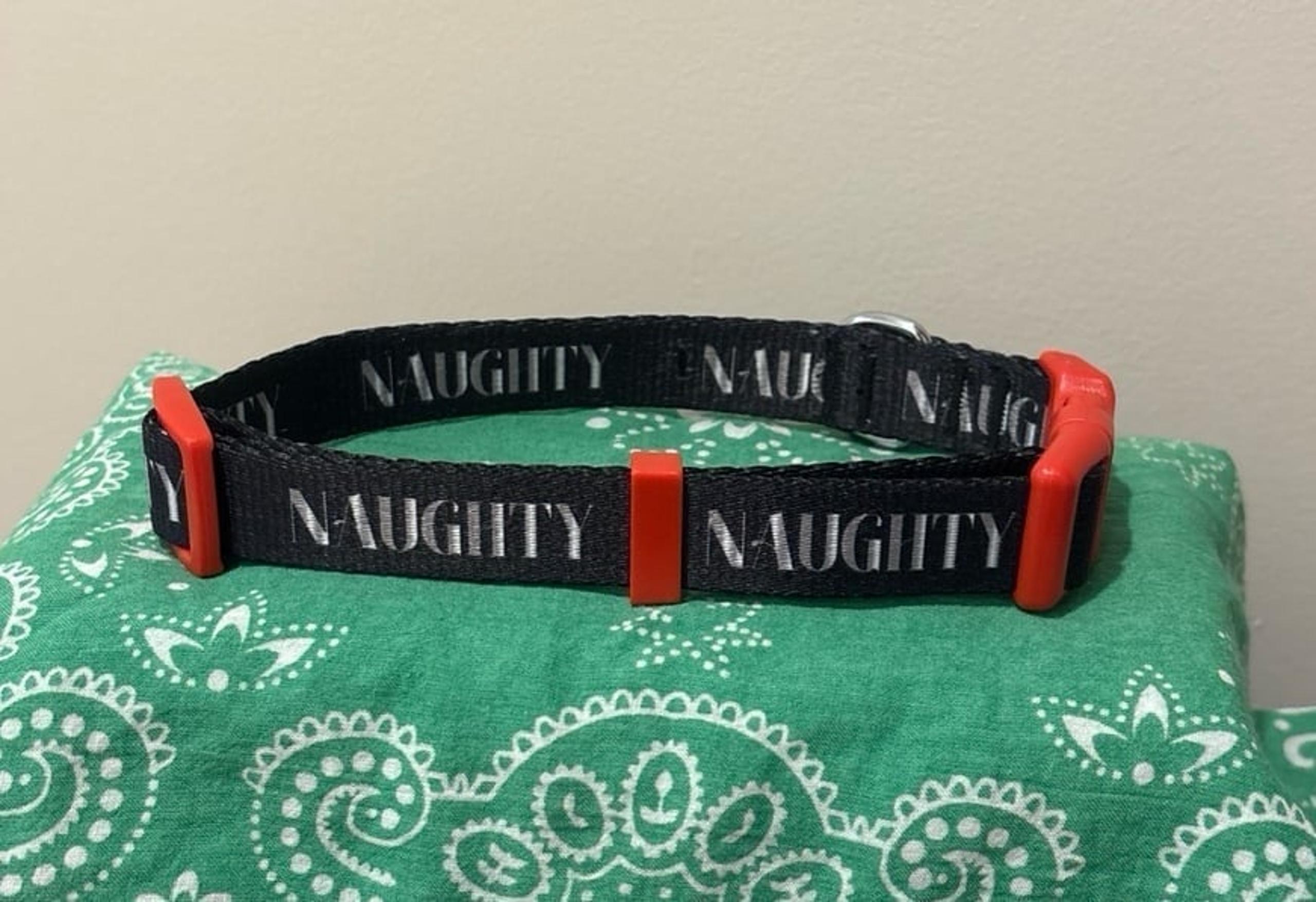 “NAUGHTY”  Dog Collar