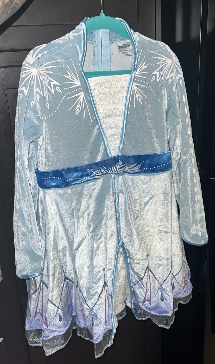 Elsa costume with WIG Included