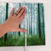 Home Photography Canvas Print Artist Signed Beaufort South Carolina Forest Trees