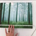 Home Photography Canvas Print Artist Signed Beaufort South Carolina Forest Trees