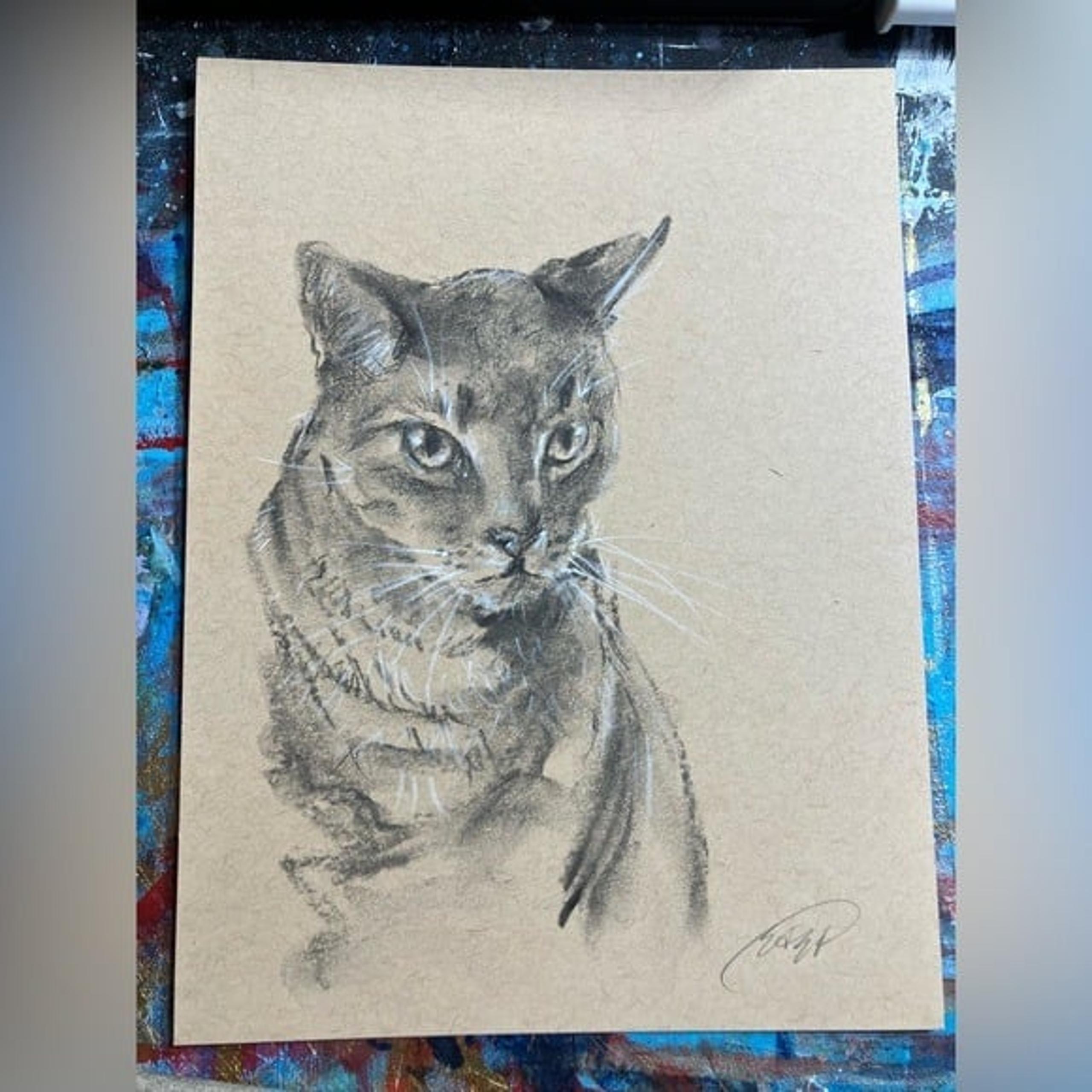 Original painting Cat portrait pastel charcoal art handmade home decor artwork