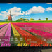 INNOCN 27 Inch Computer Gaming Monitor