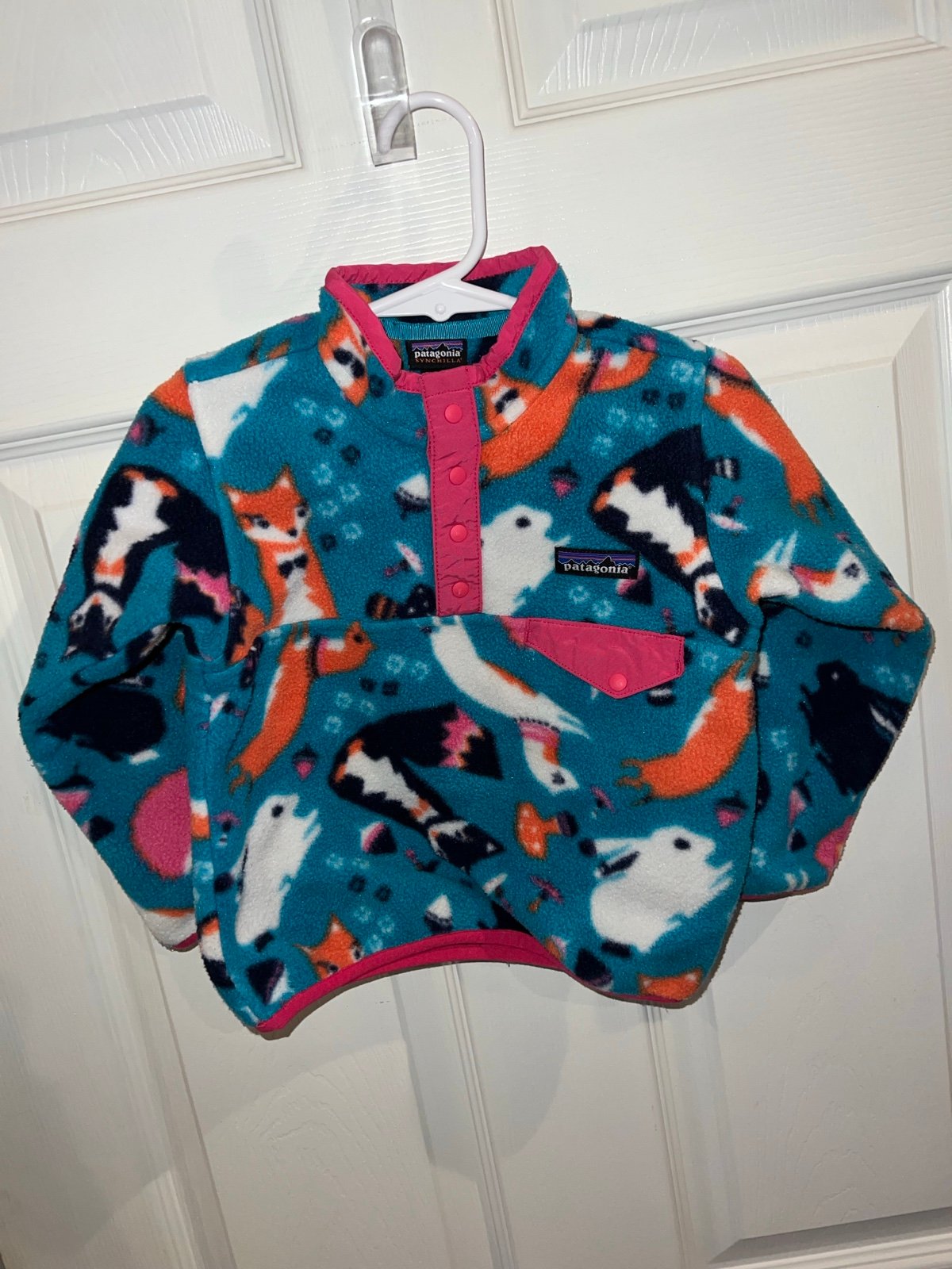 Patagonia Synchilla Fleece Jacket