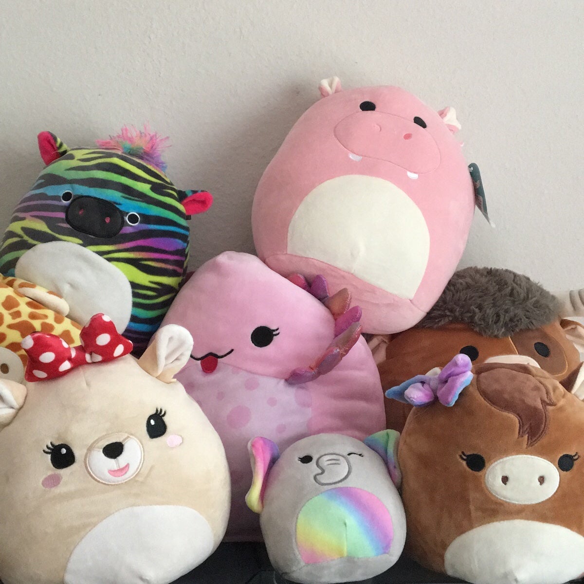 (MESSAGE BEFORE PURCHASING) HUGE Squishmallow Collection Purge
