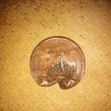 Penny