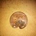 Penny
