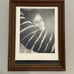 Vintage Greta Garbo Portrait MCM Wood Gold Beveled Frame 1925 By Ruth Harriet