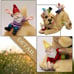 Resin Garden Statue and Sculpture, Funny Dog Playing with Gnomes, Outdoor Lawn Y