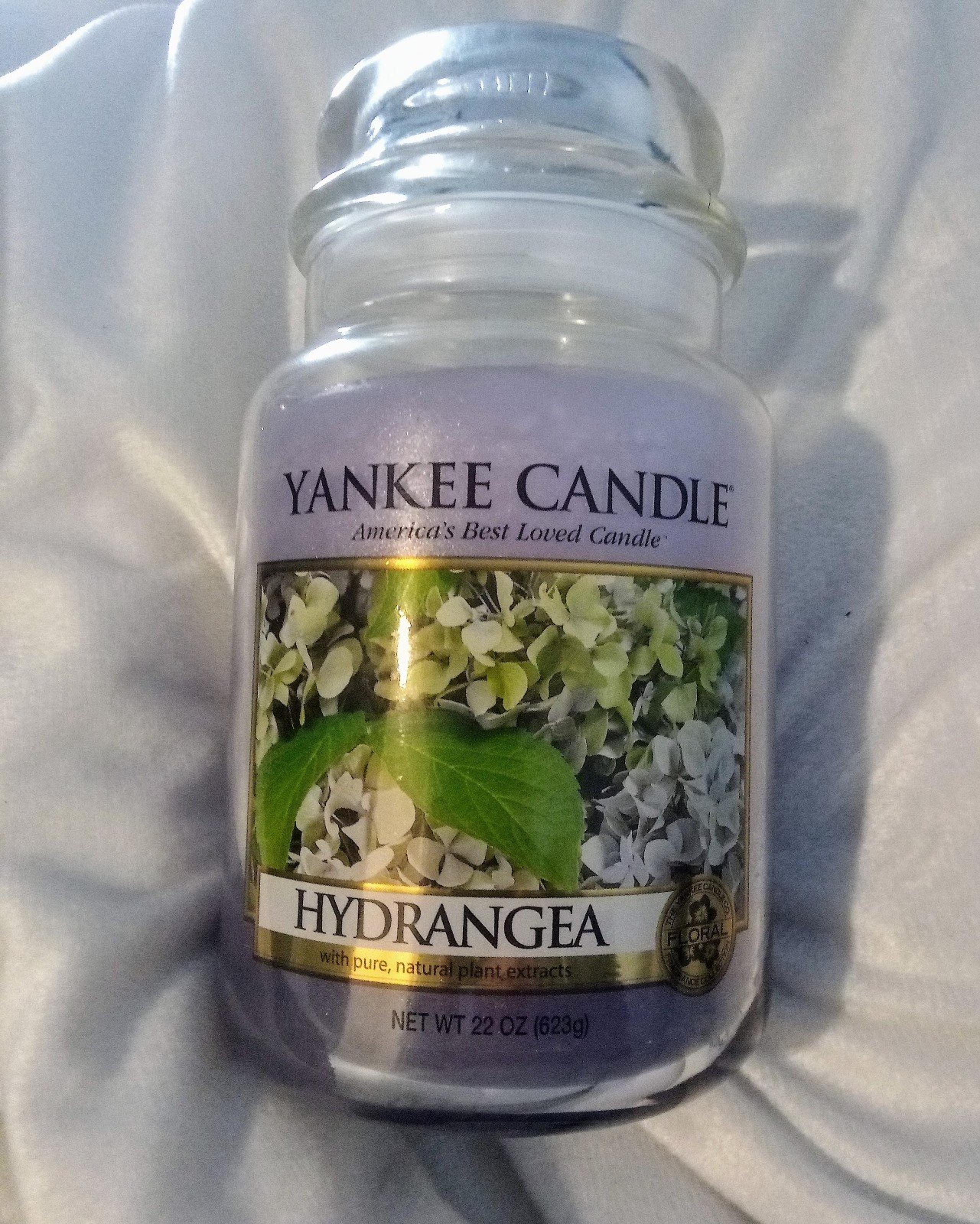 Yankee Candle HYDRANGEA 22oz Large JAR candle Discontinued & Rare