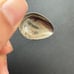 Vintage 1982 Walt Disney Collectors Spoon (Disneyland)