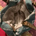 myra bag