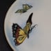 H&M Austria Small Creamer Pitcher and Small Tray Butterfly Flower Clara Russell