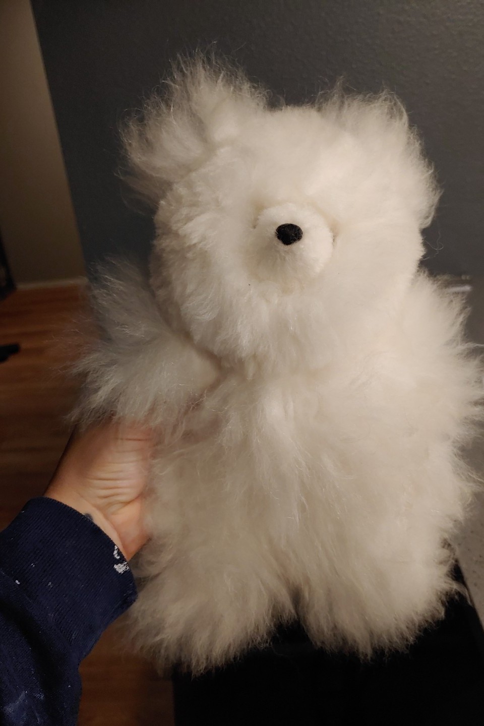 Stuffed animal bear