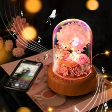 New Beautiful Wishing streamer led night light bluetooth speaker