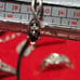 Black/White Diamond Ring