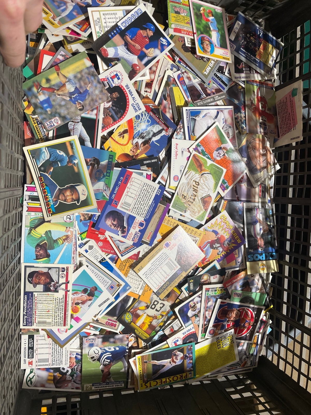 sports cards collection