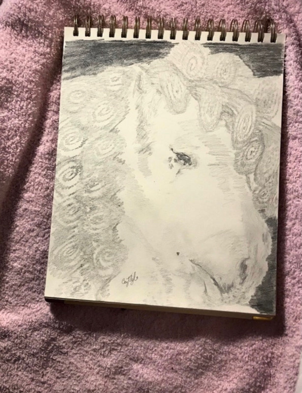 A drawing of a celestial pony, Princess royalcore horse art