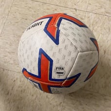 Premier League Official Match Ball