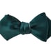 Giraffe Retro Flower Bow Tie