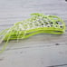 STX Girls Nova Girls Lacrosse Stick