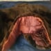 Mink Jacket
