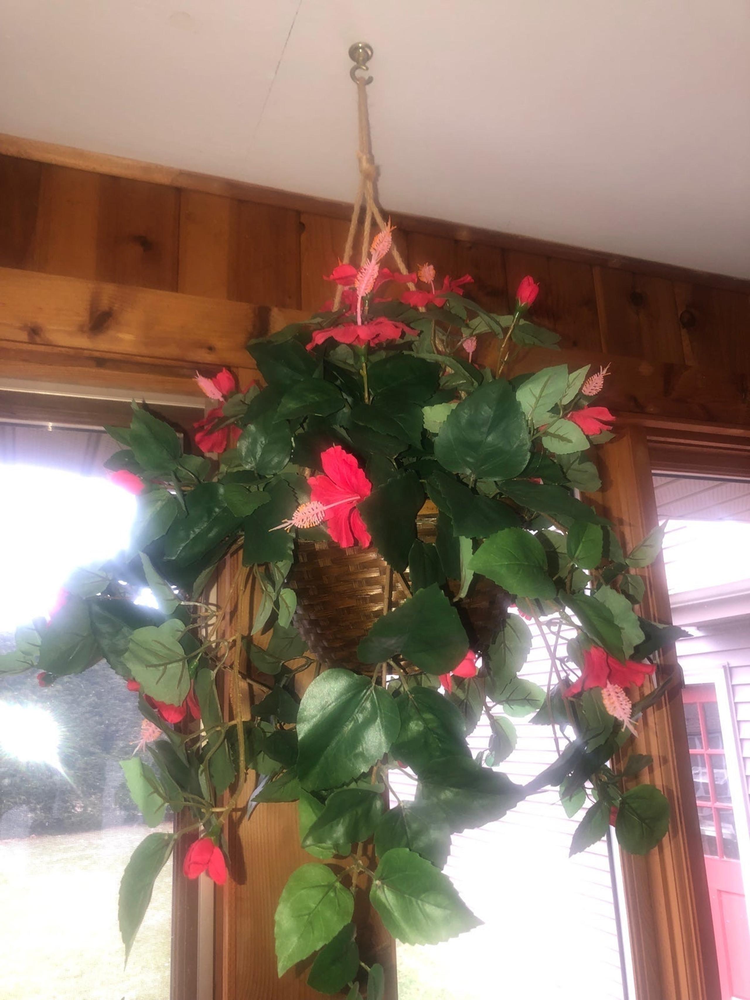 Nearly natural, hisbiscus hanging plant