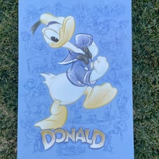 Donald Duck Disney Sketch Art Canvas