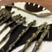 Mid 20th Century Vintage Set of 12 Montagnan Demitasse Spoons