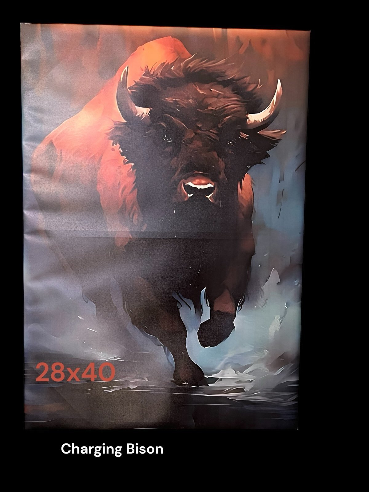Buffalo canvas poster