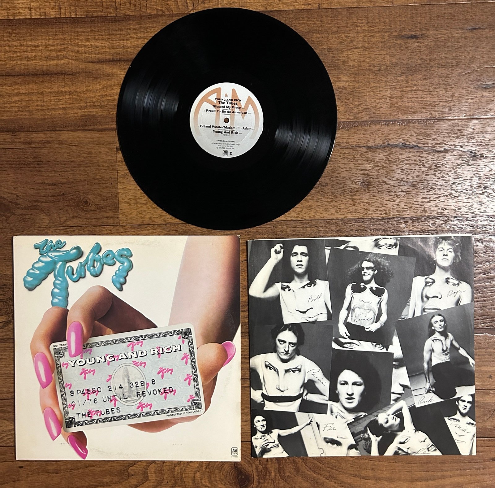 The Tubes~”Young And Rich" Original VINYL LP from 1976 (A&M SP-4580) - detail
