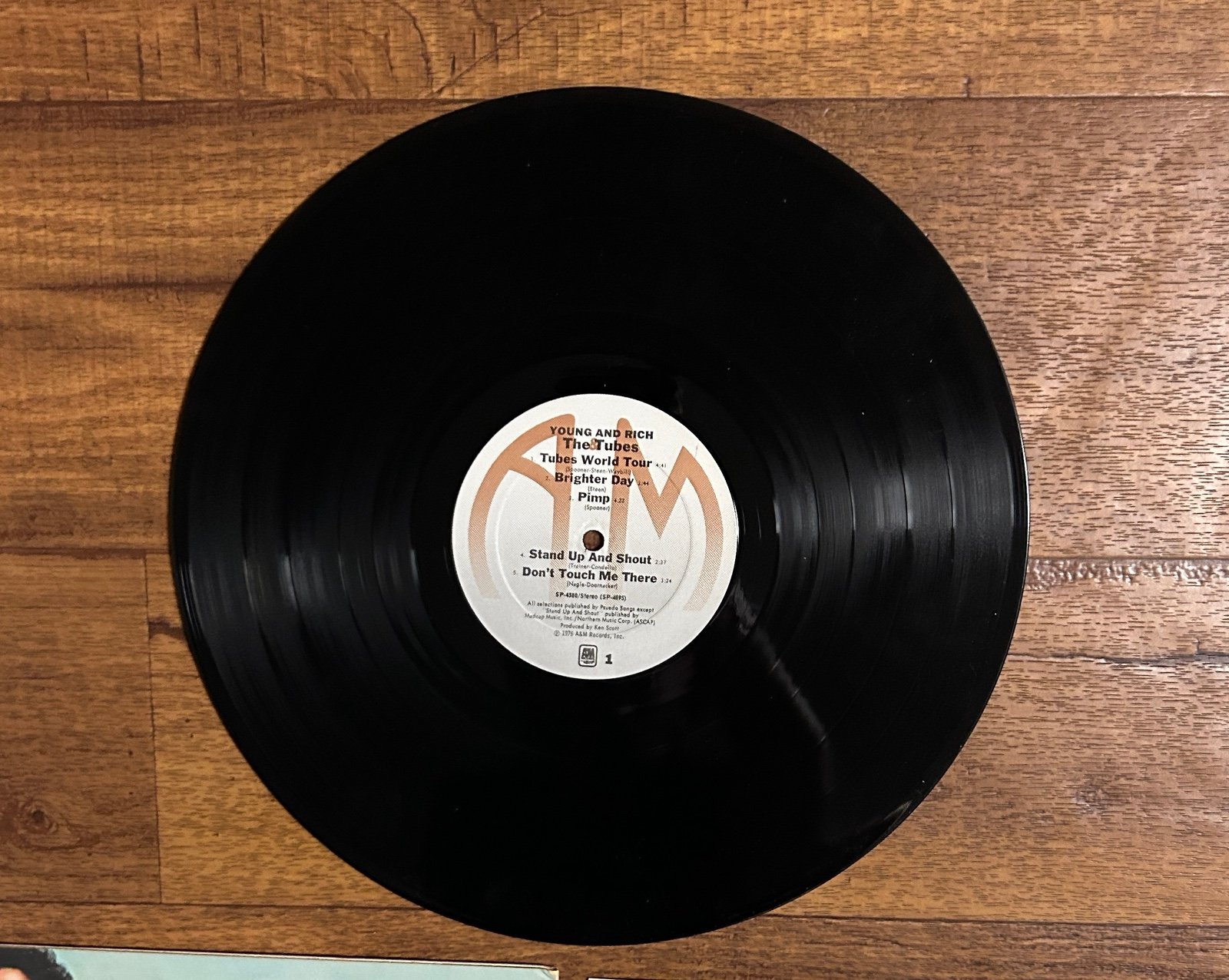 The Tubes~”Young And Rich" Original VINYL LP from 1976 (A&M SP-4580) - detail