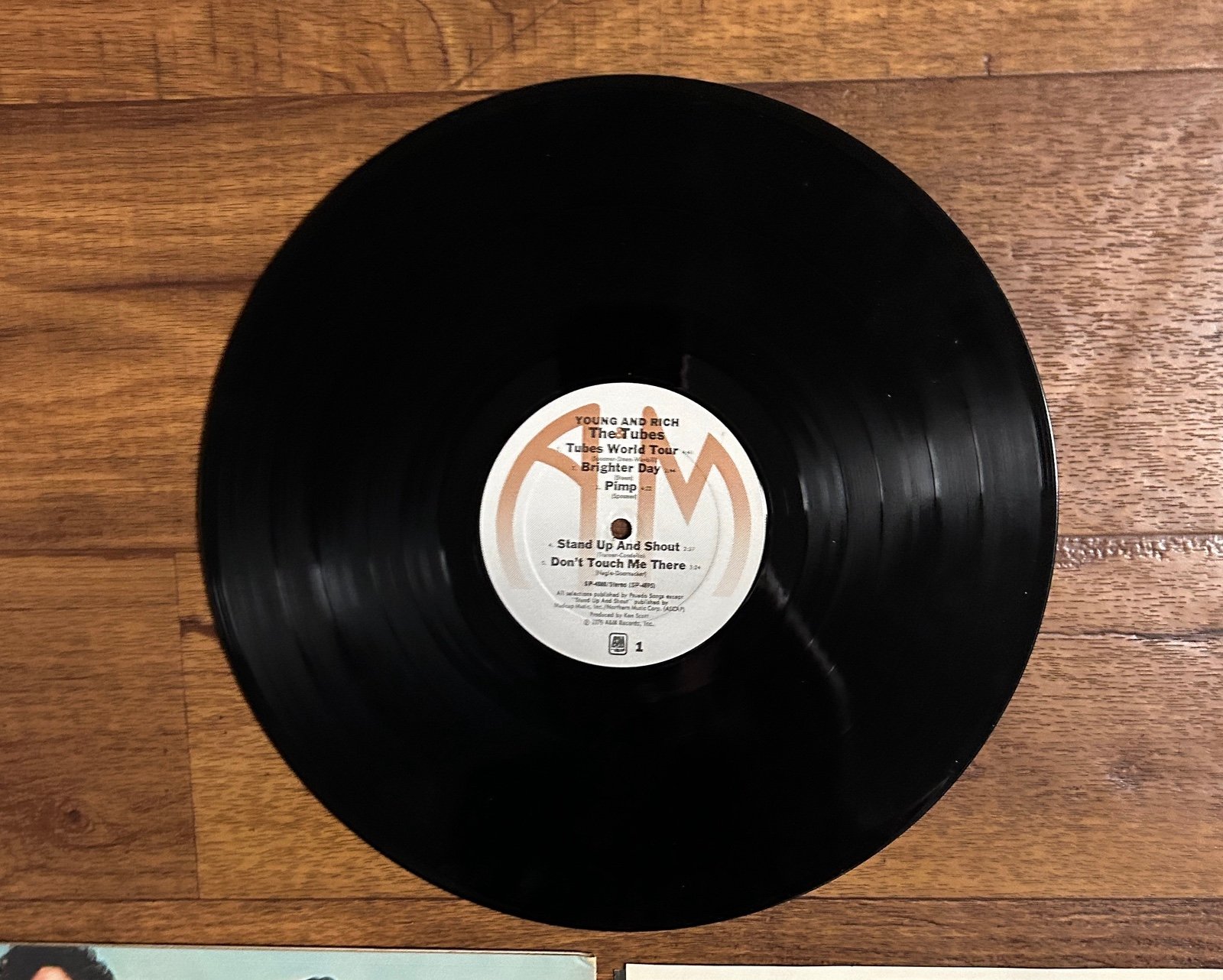 The Tubes~”Young And Rich" Original VINYL LP from 1976 (A&M SP-4580) - detail