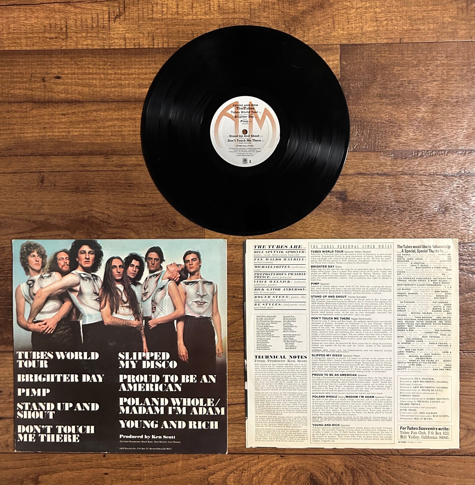 The Tubes~”Young And Rich" Original VINYL LP from 1976 (A&M SP-4580) - detail